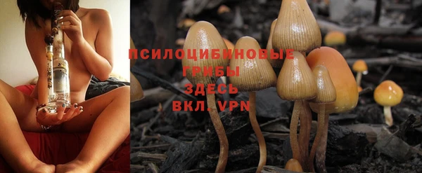 mdpv Надым