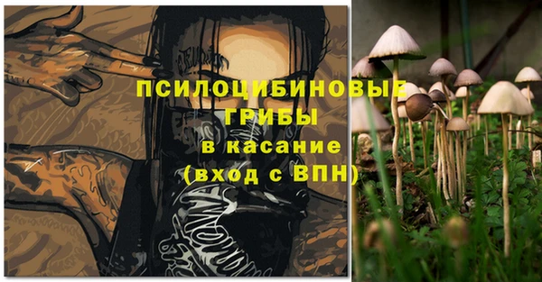 Альфа ПВП Болотное