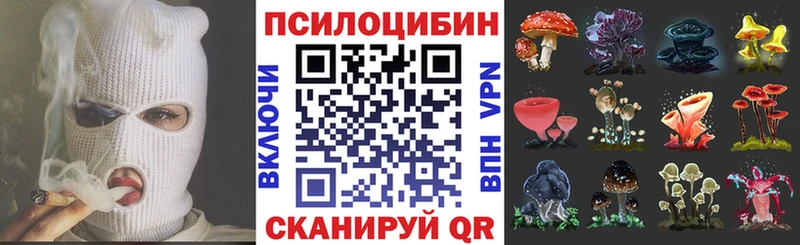 цена наркотик  Янаул  МЕГА ТОР  Псилоцибиновые грибы Magic Shrooms 