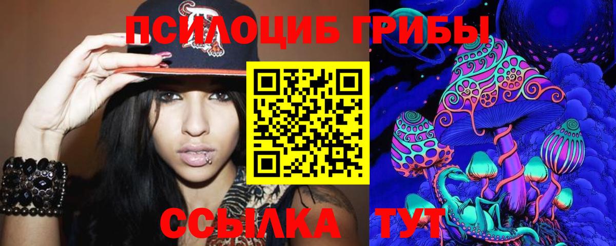 Псилоцибиновые грибы Psilocybe Янаул