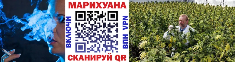 Каннабис гибрид  Янаул 